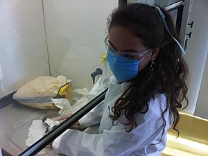Medical student at the laboratories of ITESM CCM