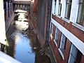Medlock1