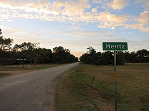 Mentz TX Sign