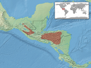 Mesaspis moreletii distribution.png