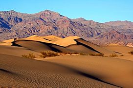Mesquite Sand Dunes in Death Valley.jpg