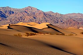 Mesquite Sand Dunes in Death Valley.jpg