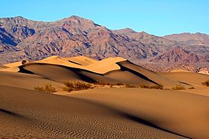 Mesquite Sand Dunes in Death Valley