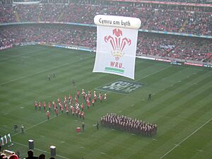 Millennium Stadium 2008 Wales Vs Scotland