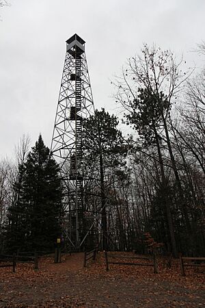 Mountain Fire Lookout Tower above forest