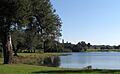 Mountain Lake Estates Entrance Bok Tower view 2008 December