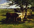 Two cows and a horse standing in the shade of a tree in a field. More seated cows in the background