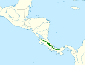 Odontophorus leucolaemus map.svg