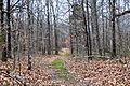 Old Natchez Trace, Lewis County
