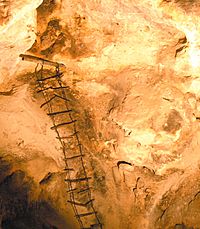 Old ladder inside Carlsbad Cavern-57