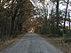 Path at Red Hills State Park in Fall.jpg