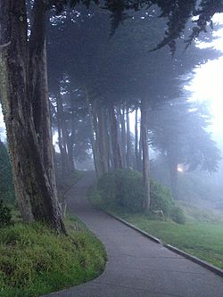 Pathway at Lincoln Park Golf Course, San Francisco.JPG