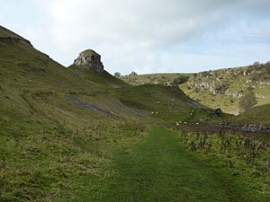 Peter's Stone, Cressbrook Dale - geograph.org.uk - 1564301