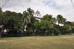 Presidency University - Kolkata 7367