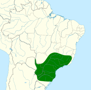 Ramphastos dicolorus map.svg