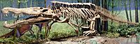 Redondasaurus bermani at CMNH 04