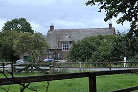 Rhenen - 2011 - panoramio (25)