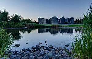 Roscommon Castle view