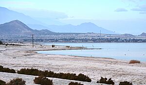 Salton Sea Beach (Jan 2014) 07