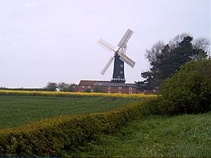 Skidby Working Windmill 1