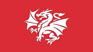 St George Illawarra Dragons logo