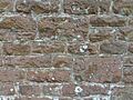 St Mary's Church, Petworth Road, Chiddingfold (May 2014) (Stonework)