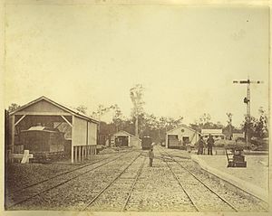StateLibQld 1 234348 View of the Gympie Railway Yard, 1882