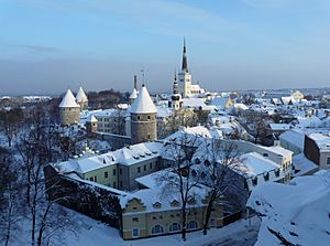 Tallinn cityview