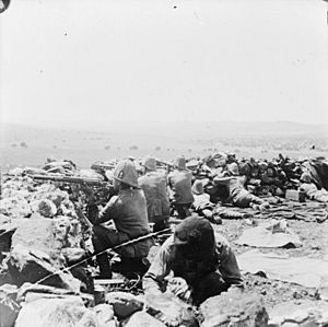 The Second Boer War, 1899-1902 Q72298