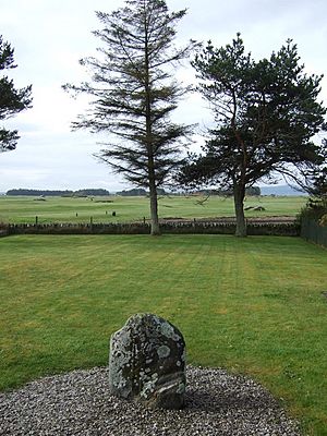 The Witch's Stone, Littletown, Dornoch (geograph 3976236).jpg