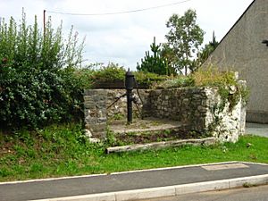 The pump at Hill Mountain. - geograph.org.uk - 913616