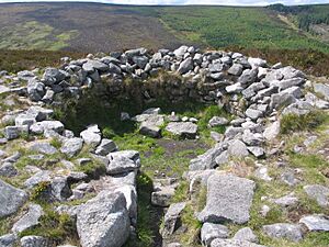 Tibradden Passage Grave