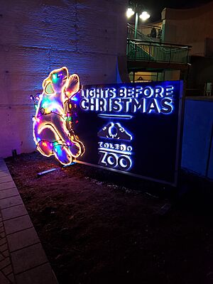 Toledo Zoo Lights Before Christmas
