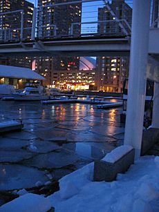 Toronto Quay Frozen