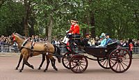 Trooping the Colour 2009 001b