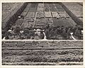 U.S. Sugar Plant Field Station, 1940