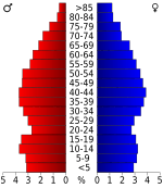 USA White County, Tennessee.csv age pyramid