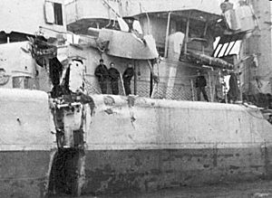 USS Endicott battle damage.jpg