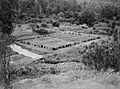 War cemetery at Kokoda 1944 (AWM image 072430)