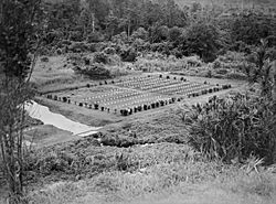 War cemetery at Kokoda 1944 (AWM image 072430).jpg