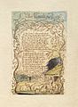 William Blake - Songs of Innocence and Experience - The Lamb