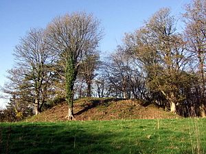 Wolf's Castle mound - geograph.org.uk - 619504