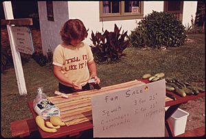 YOUNGSTER MANS A ROADSIDE STAND SELLING SQUASH, CUCUMBERS AND LEMONADE ON SIMS ROAD AND GEORGIA HIGHWAY 356 AT... - NARA - 557757