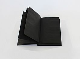 'Black Book' by Marie Hanlon