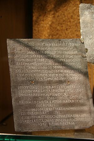 1040 - Discharge diploma - Museo Archeologico, Cagliari - Photo by Giovanni Dall'Orto, November 11 2016.jpg