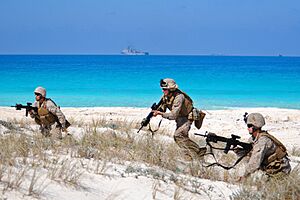 22nd MEU Storms Beach During Bright Star DVIDS212393