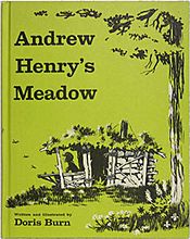 Andrew Henry's Meadow 1st Edition cover
