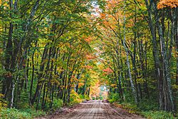 Autumn Dirt Road - Hiawatha National Forest, Michigan (30354315253)