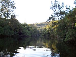 Barrington River 1