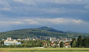 Blick auf den Uetliberg 087